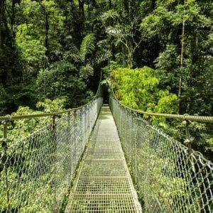 Arenal Hanging Bridges from Arenal