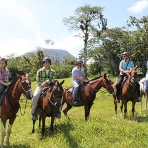 Arenal Wilberth Stable