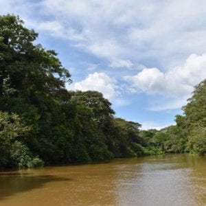 Authentic Experience at the Ca?o Negro Wetlands by Boat