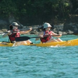 Damas Island Kayak Tour with Lunch from Manuel Antonio