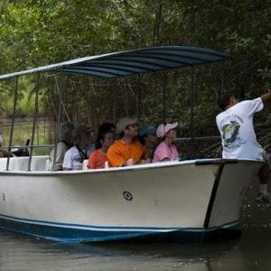 Damas Mangroove Boat Tour from Manuel Antonio