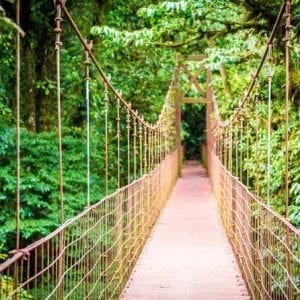 Hanging Bridges Walking Tour in Arenal