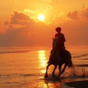 Horseback Riding Adventure from Quepos