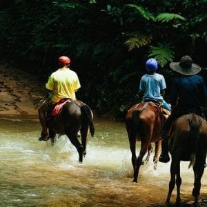 Horseback Riding and Waterfalls from Manuel Antonio