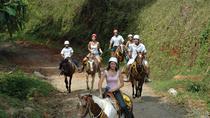 Horseback Riding from Manuel Antonio
