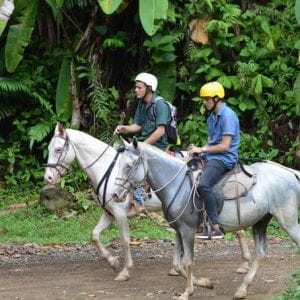Horseback Riding Tour from Manuel Antonio