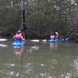 Kayak in the Mangrove Manuel Antonio