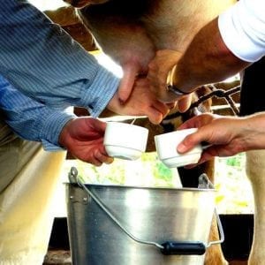 Local Farm Experience in La Fortuna