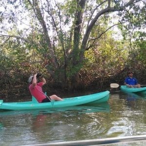 Mangrove Damas Island Kayak Tours