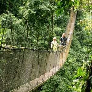 Rainmaker Park Hanging Bridges & Waterfalls Tour