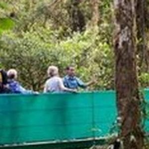 Sky Walk with Guide from Arenal