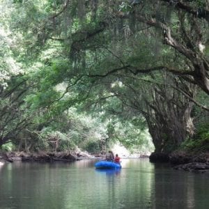 Wildlife Safari Float Trip and Natural History Tour