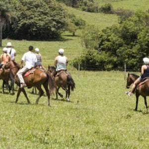 8-Day Best of Northwest Costa Rica from San Jose: Arenal Volcano National Park, Alajuela and Guanacaste