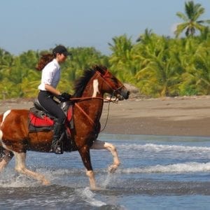 Beach Horseback Riding Adventure Near Jaco