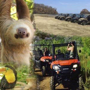 Beach-Mountain And Sloth Refuge Buggy Tour