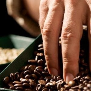 Britt Coffee Tour and Chocolate Tasting from San Jose