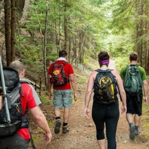 Cahuita National Park In The Caribbean Side Of Costa Rica Guided Hike And Exuberant Wildlife Watching Tour