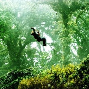 Canopy-Hanging Bridges and Butterfly Garden from Monteverde