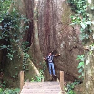 Cinco Ceibas Rainforest Reserve and Adventure Park from San Jose