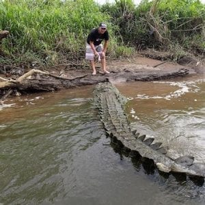 Crocodile Tour