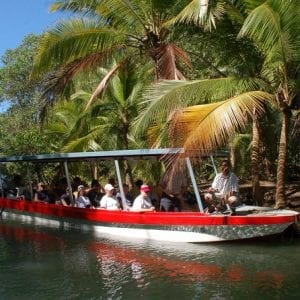 Damas Island Mangrove Boat Tour from Jaco