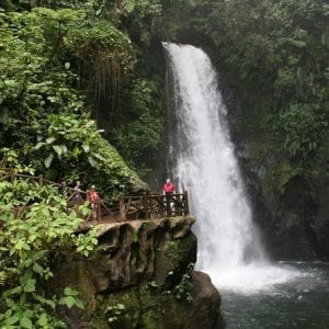 Day Trip from San Jose to La Paz Waterfall Gardens and Safari in Sarapiqui River