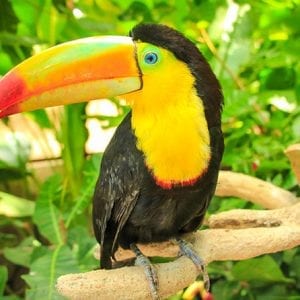 Diamante Eco Adventure Park: Animal Sanctuary Discovery Pass