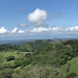 Full Day Monteverde Cloud Forest Tour from San Jose