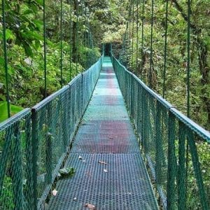 Full Day Monteverde from San Jose Hanging Bridge and Reptile Amphibians Watching