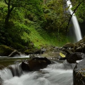 Half-Day La Fortuna Waterfall Horseback Riding Adventure