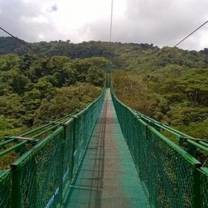 Hanging Bridges 2-hour Tour from Monteverde