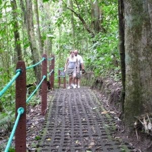 Hanging Bridges and La Fortuna Waterfall Nature Hike