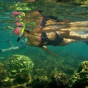 Kayak And Snorkel Tour From Flamingo Beach