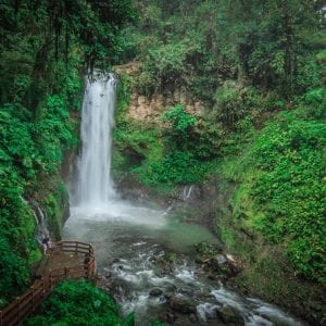 La Paz Waterfall Garden Tour from San Jose