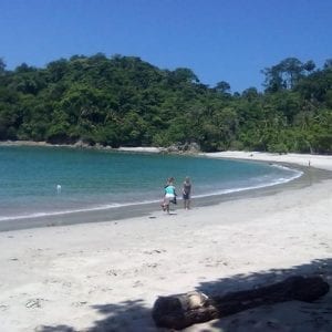 Manuel Antonio National Park Day Trip from Jaco