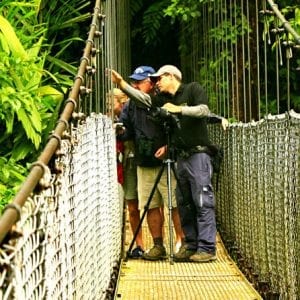 Mistico Park Hanging Bridges Guided Tour