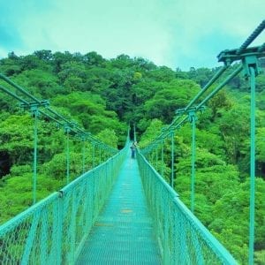 Monteverde Cloud Forest And Hanging Bridges From Guanacaste