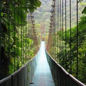 Monteverde Sky Walk And Coffee Tour
