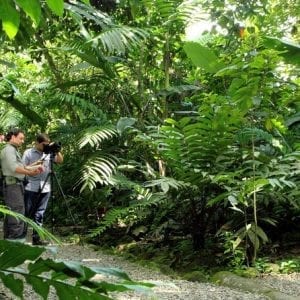 Nature Walk at Ecological Park and Butterfly Garden Danaus
