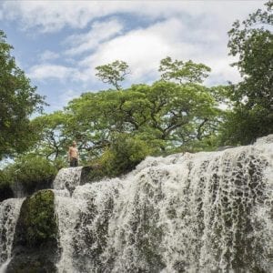 Palo Verde National Park And Liberia Combo Tour