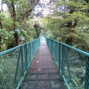 Selvatura Park Hanging Bridge Canopy Tour in Monteverde