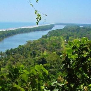 Private Puntarenas Shore Excursion: Tarcoles River Boat Tour At The Jungle