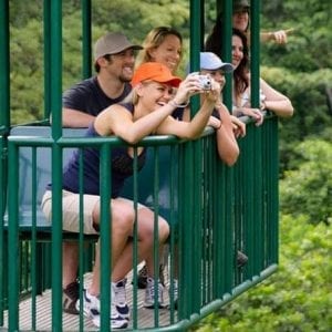 Rainforest Adventure Costa Rica Tranopy Tour Jaco