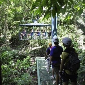 Rainforest Adventures 5 in 1 Adrenaline Extreme