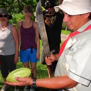 San Jose Tropical Rainforest Adventure Including Chocolate Tasting