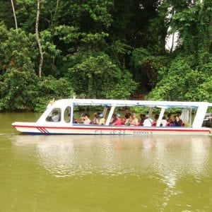 Shore Excursion: Tortuguero Canal Eco Cruise And Banana Plantation