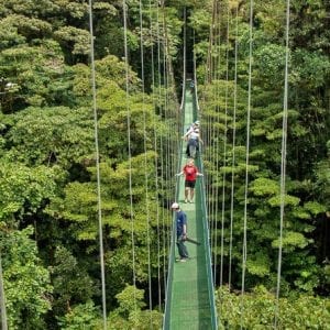 Sky Walk, Sky Tram, and Sky Trek Zip line Combo Tour from Monteverde
