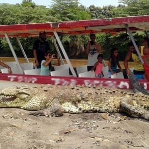 Tarcoles River Crocodile and Wildlife River Cruise