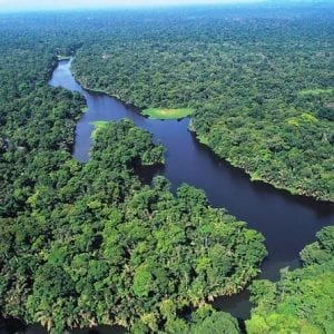 Tortuguero National Park One Day Tour