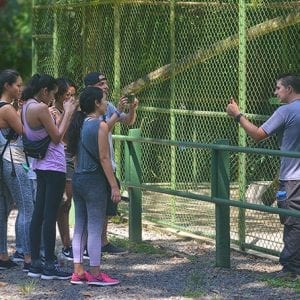 Wildlife Rescue Center Tour in Costa Rica
